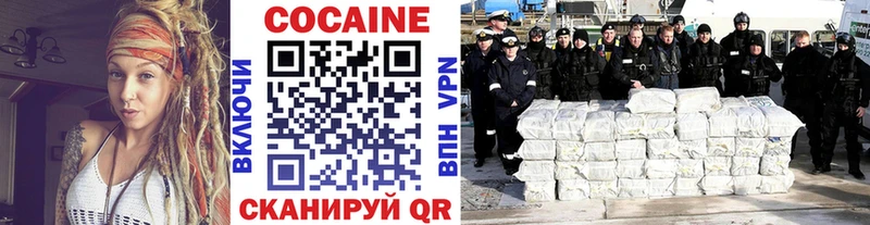 Cocaine FishScale  купить наркотик  Олёкминск 