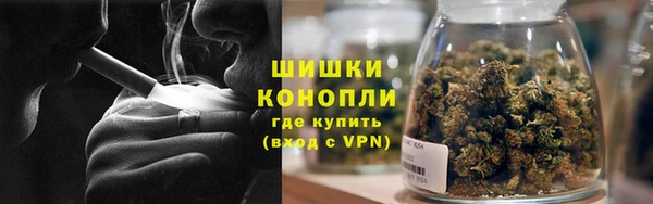 спиды Горно-Алтайск