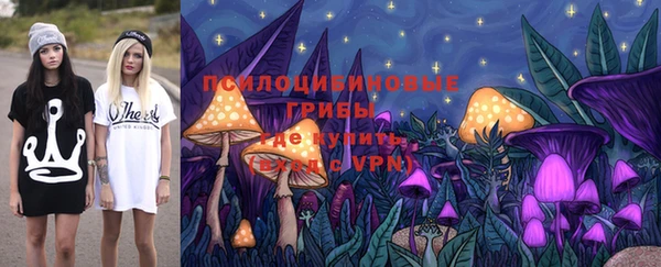 спиды Горно-Алтайск