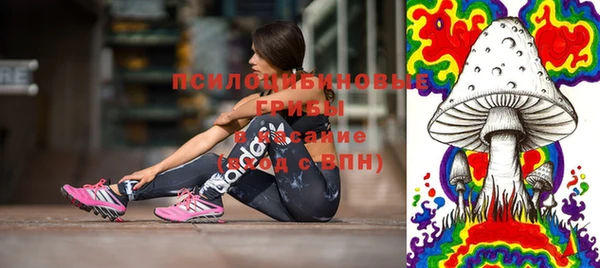 спиды Горно-Алтайск