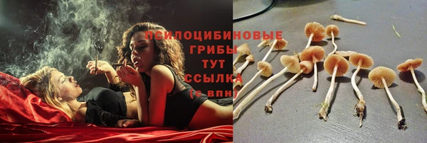 спиды Горно-Алтайск