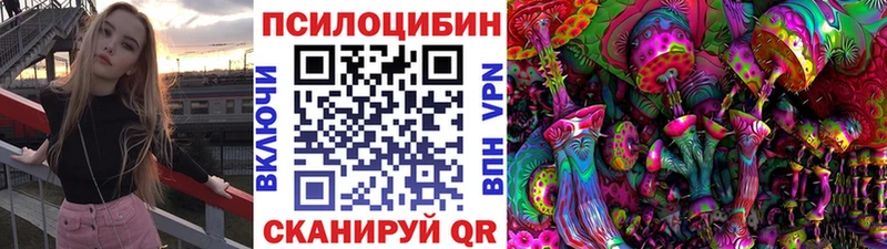 гидра   Олёкминск  Псилоцибиновые грибы Psilocybine cubensis 